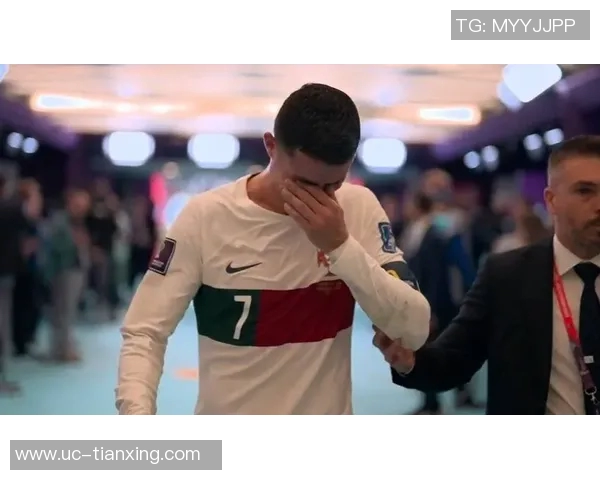 葡萄牙足协主席称球队去年成就斐然今年力争世界杯冠军 葡萄牙足协主席称球队去年成就斐然今年力争世界杯冠军